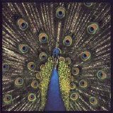 The Bluetones - Expecting To Fly
