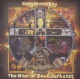 Badly Drawn Boy - The Hour Of Bewilderbeast
