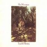 Van Morrison - Tupelo Honey
