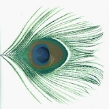 XTC - Apple Venus Volume 1