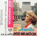 neşe - gülden karaböcek - karışık