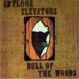 The 13th Floor Elevators - Bull of the Woods