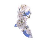 Pet Shop Boys - miracles