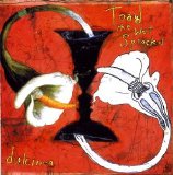 Toad the Wet Sprocket - Dulcinea