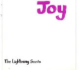 The Lightning Seeds - Joy