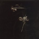 Depeche Mode - X2: live (disc 7)