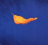 New Order - remixes