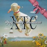 XTC - Upsy Daisy Assortment