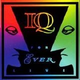 IQ - Forever Live