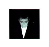 Peter Gabriel - Shaking the Tree