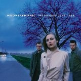 Hooverphonic - The Magnificent Tree