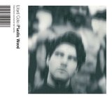 Lloyd Cole - Plastic Wood