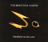 The Beautiful South - blackbird on the wire