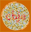 Colorblind James Experience - Greatest Hits!