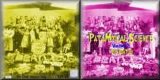 Beatles > Beatles - PataMixical Science Vol. 2