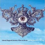 Colonel Claypool's Bucket of Bernie Brains - The Big Eyeball in the Sky