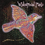 Widespread Panic - Til The Medicine Takes