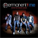 Permanent Me - After the Room Clears