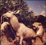 Interpol - Our Love to Admire