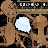 Joseph Arthur - Our Shadows Will Remain
