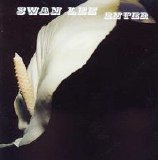 Swan Lee - Enter