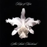 Kings of Leon - Aha Shake Heartbreak