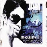 Prince - Jam Of The Year - Mountain View