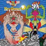 Super Furry Animals - Hey Venus!