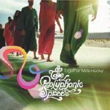The Polyphonic Spree - Together We're Heavy