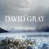 David Gray - Life In Slow Motion