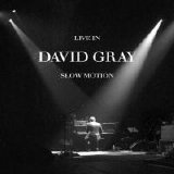 David Gray & BBC Concert Orchestra - Live at the Mermaid Theatre