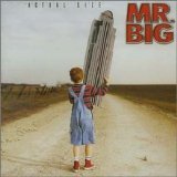 Mr. Big - Actual Size