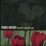 Pernice Brothers - Discover A Lovelier You