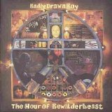 Badly Drawn Boy - The Hour of Bewilderbeast