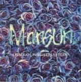 Mansun - Attack Of The Grey Lantern