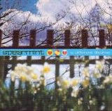 Spearmint - A Different Lifetime