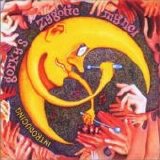 Gorky's Zygotic Mynci - Introducing Gorky's Zygotic Mynci