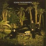 Echo & The Bunnymen - Evergreen