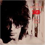 The Waterboys - A Pagan Place