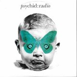 Psychid - Psychid