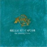 The Amazing Pilots - Hello My Captor