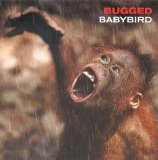 Babybird - Bugged