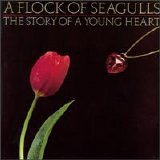 A Flock of Seagulls - The Story of a Young Heart