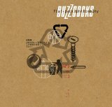 Buzzcocks - Flat-Pack Philosophy