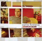 David Fonseca - Dreams In Colour