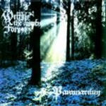 Paramaecium - Within the ancient forest