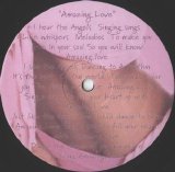 Little Louie Vega feat. Anané - [VR014] Amazing Love Vinyl (Vega Records © 2005)