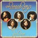 The Beach Boys - 15 Big Ones