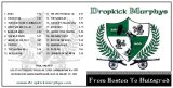 Dropkick Murphys - Live at Hultsfredfestvalen