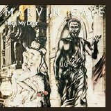 Gaye, Marvin - Here, My Dear
